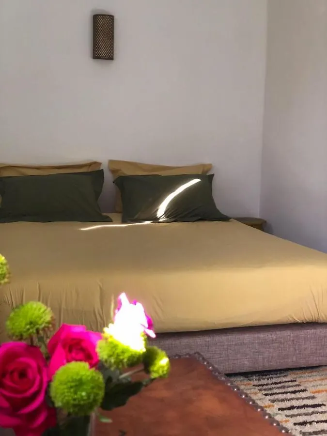 Vibrant Medina Loft And Roof Top Марракеш Апартаменты